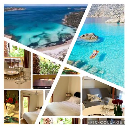 Nest House - Esclusivo Appartamento Marina Di Olbia- Mater Olbia - Beaches - Close To The Airport - Private Parking- Full Comforts - Exteriér fotografie