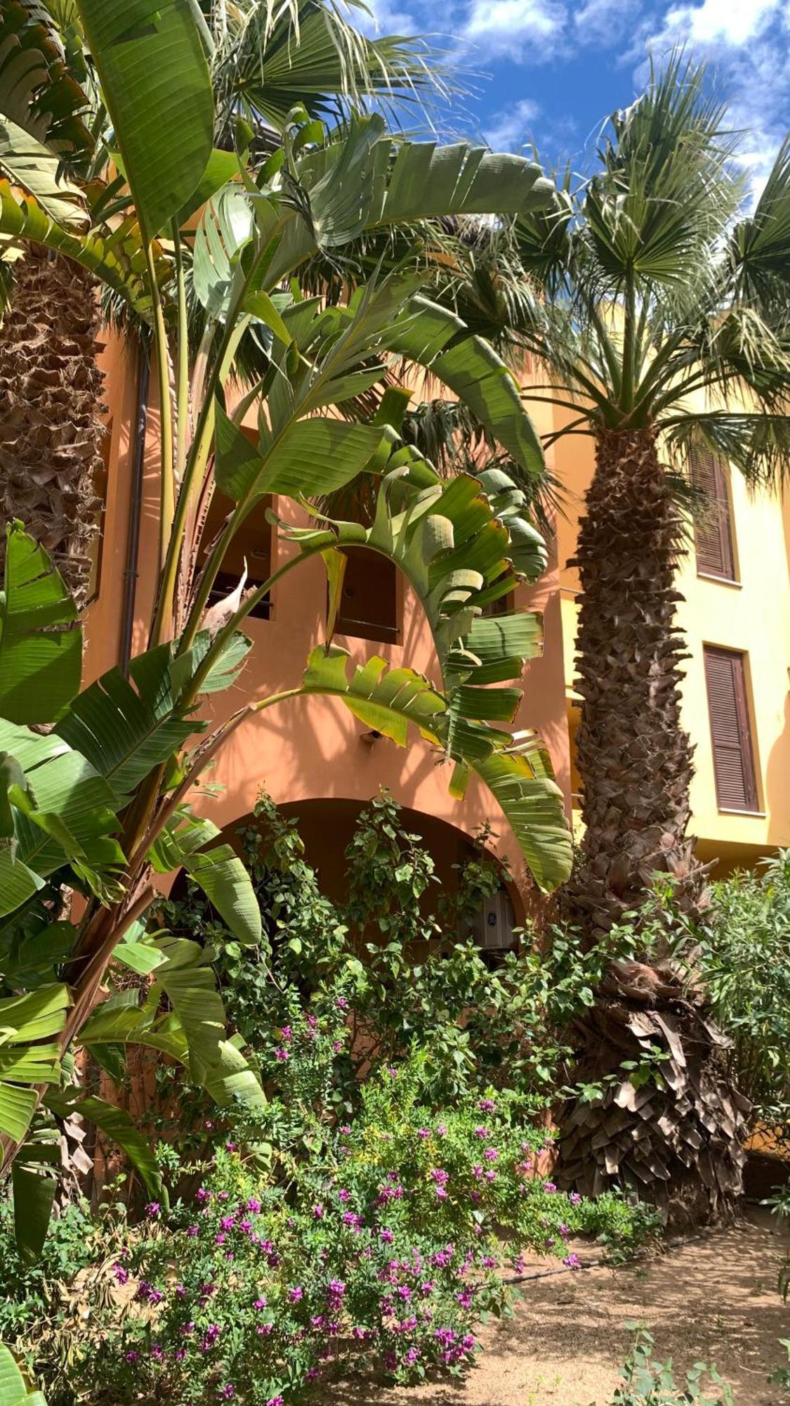 Nest House - Esclusivo Appartamento Marina Di Olbia- Mater Olbia - Beaches - Close To The Airport - Private Parking- Full Comforts - Exteriér fotografie