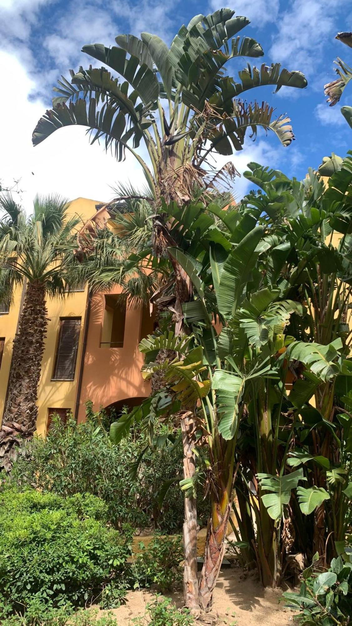 Nest House - Esclusivo Appartamento Marina Di Olbia- Mater Olbia - Beaches - Close To The Airport - Private Parking- Full Comforts - Exteriér fotografie